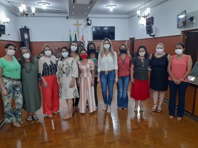 Mulher na política 2.png