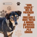 "ABRIL LARANJA" MÊS DE PREVENÇÃO DA CRUELDADE E MAUS TRATOS CONTRA ANIMAIS É APROVADO PELA CÂMARA MUNICIPAL DE MOCOCA 