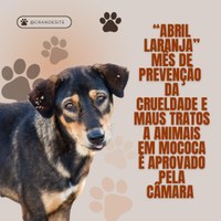 "ABRIL LARANJA" MÊS DE PREVENÇÃO DA CRUELDADE E MAUS TRATOS CONTRA ANIMAIS É APROVADO PELA CÂMARA MUNICIPAL DE MOCOCA 