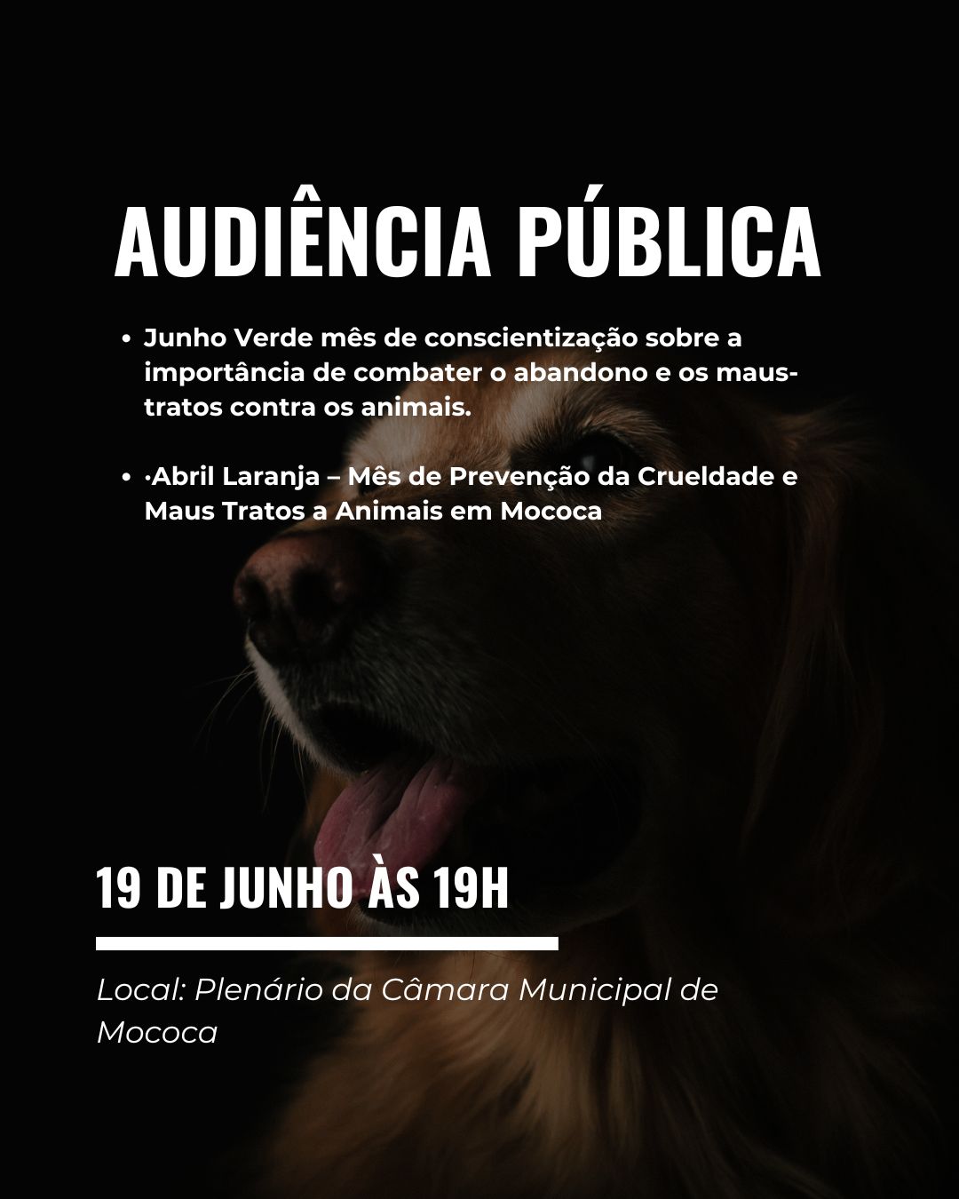 Audiência Pública na Câmara Municipal de Mococa Debaterá Temas Importantes Sobre Bem-Estar Animal