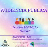 AUDIÊNCIA PÚBLICA | DIREITOS LGBTQIA+